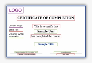 Samples Certificate Scholarship Certificate Samples - Craniosacral Therapy Ii : Beyond The Dura: Beyond The