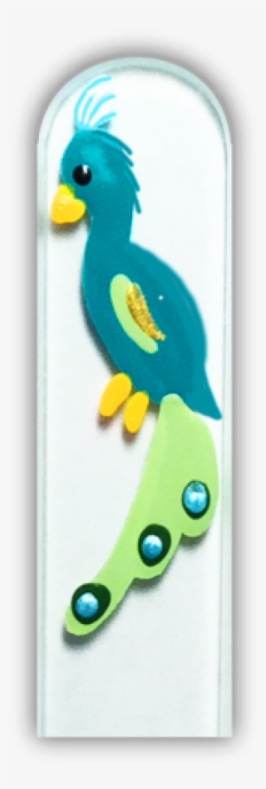 102500 Peacock - Parakeet