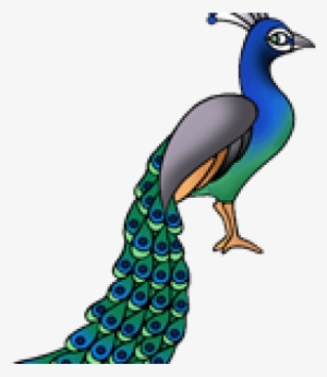National Bird Of India Clipart