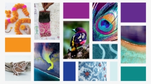 The Concept Moodboard Explored The Beauty Of A Bird's - Indian Culture Moodboard