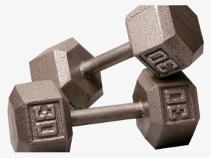 Jax & Grant - 55 Lb Rubber Hex Dumbbell