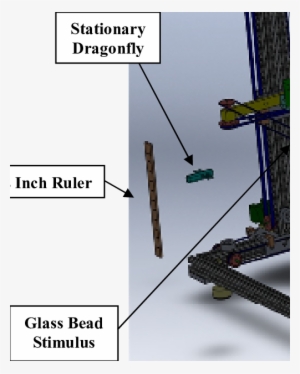 Complete Solidworks Model Of The 3d Flying Prey Simulator - Tree