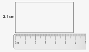 The Scale Indicates 5 Full Units, Or 5 Centimetres - 5cm Measurement