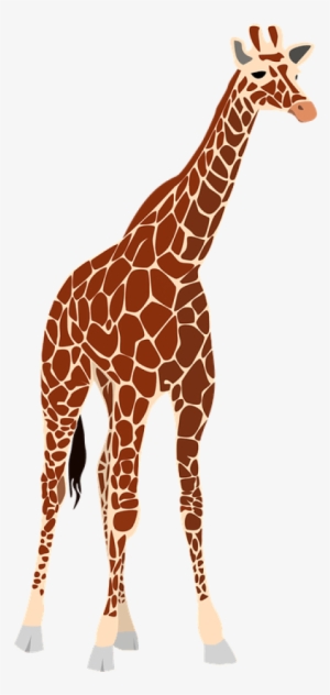 Free Png Giraffe Png Images Transparent - Realistic Giraffe Clipart