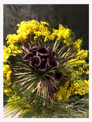 We Invite You To Take A Look At Our Creations In Order - Tickseed