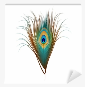 Vector Peacock Feather Isolated On White Wall Mural - Peacock Feather Vector