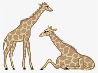 Small - Giraffe Laying Down Clipart