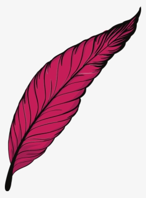 Pen, Feathers, Bird, Animal, Beautiful, Peacock - Pink Feather Png Png