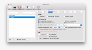 Change Font To 14pt - Oh My Zsh Light Themes