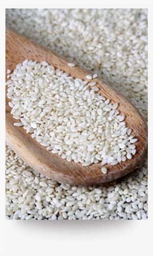 02hulled Sesame Seed - Sesame