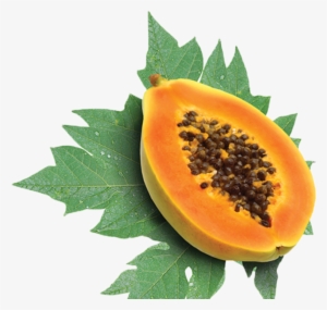 Nutrition Of Papaya Fruit
