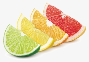 Bigstock Sliced Citrus Fmt - Citrus
