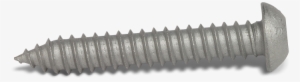 Sheet Metal Screws - Screw