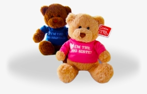Big Brother/big Sister Teddy Bear - Big Sister Little Brother Teddy Bears