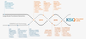 Ksq Therapeutics Timeline - Diagram