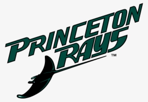 Princeton Devil Rays Logo Png Transparent - Tampa Bay Rays