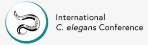Elegans Logo - Roundworm