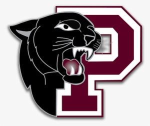 Support Princeton High School - Princeton Panthers Logo