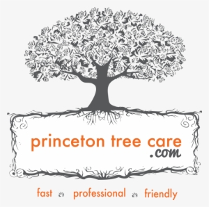 Princeton Tree Care