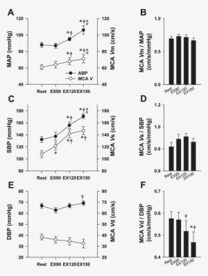 Mean Arterial Pressure And Mca Mean V (mca Vm) - Blood Pressure