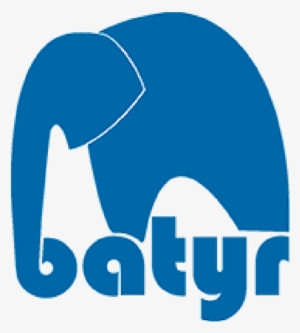 The Global Coalition On Youth Mental Health Was Made - Batyr