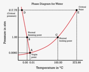The Phase Diagram Of Water Is Special Because The Sol - Phase Diagram Of Water