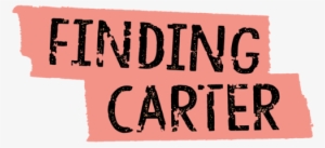 Finding Carter News - Finding Carter Logo