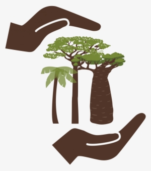 The World Cocoa Foundation And Our Members Have Joined - Tree