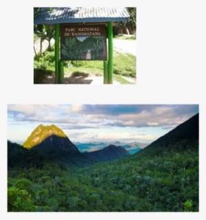 Ranomafana National Park