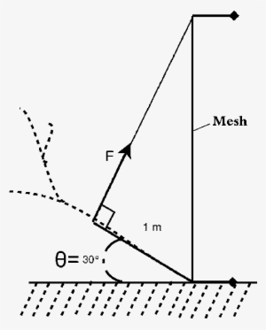 Diagram Of The Wire Mesh Used To Measure The Bending - Plot - 510x635 ...