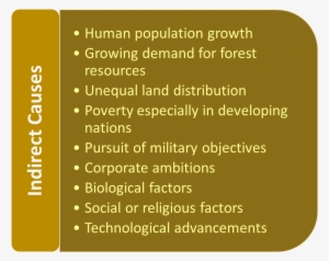 Indirect Causes Of Deforestation - Deforestation