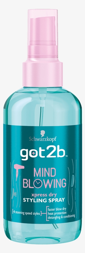 Got2b Mind Blowing Styling Spray - Schwarzkopf Got2b Mind Blowing Xpress Dry Styling Spray