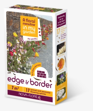 Meadow In My Garden On Twitter - Prairie Fleurie - Pied De Mur - Mélange De Graines