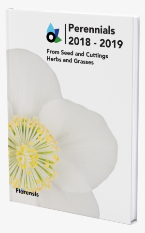 Catalogue - Poppy Family