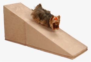 21" Pet Ramp Royalramps Color: Oyster