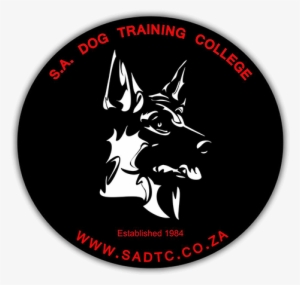 Dog Training - Dog