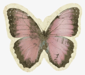 Dior Fleur Esme - Life Is Strange Chloe Butterfly