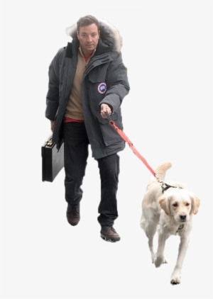 Jimmy Fallon Walking His Dog - Labrador Retriever