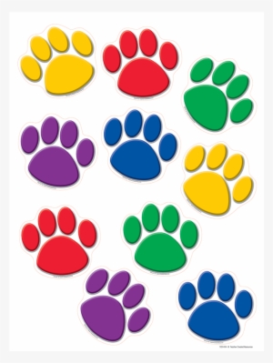 Tcr4114 Colorful Paw Prints Accents Image - Paw Prints