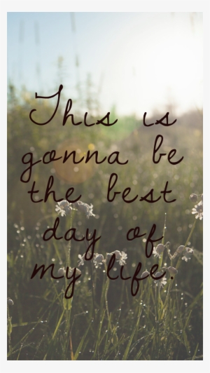 Iphone5 Lockscreen Bestday Meadow - Nature Sounds - Sons De La Nature, Nature Sounds For