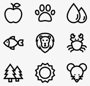 Wildlife - Hip Hop Icon