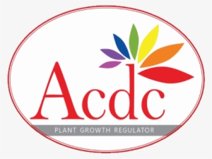 Acdc - William Caslon Old Style Font