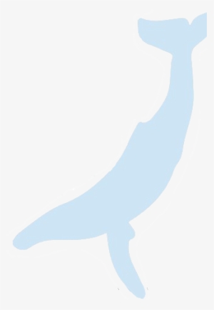 Whale Image - Illustration