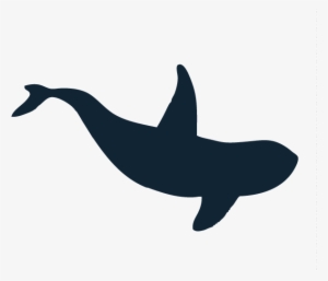 Killer Whale - Whale