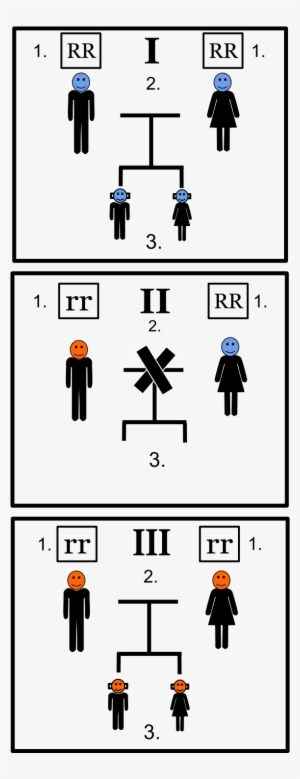 Green Beard Effect - Green-beard Effect