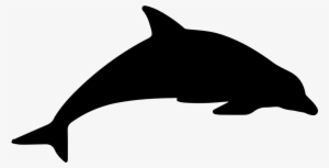 Dolphin Mammal Animal Silhouette Comments - Dolphin