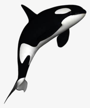 Orca Decoration Orca Tattoo, Whale Tattoos, Tatoo, - Orca Png