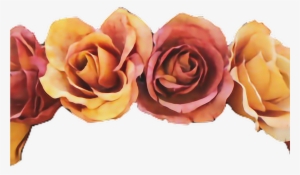 Flower Crown Transparent Gallery Flower Wallpaper Hd - Flower Crown Cut Out