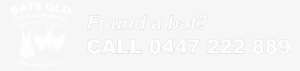 Bats Qld