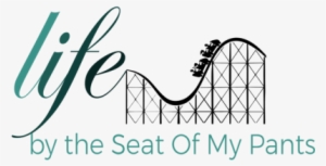 Because Shaking It Up Sometimes Isn't Enough - Roller Coaster T Shirt